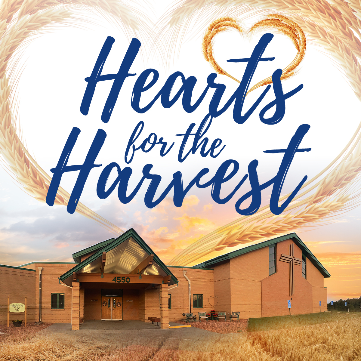 Hearts for the Harvest